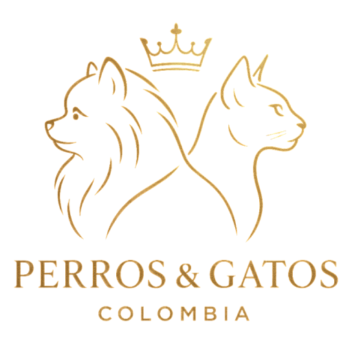 Perros y gatos Colombia
